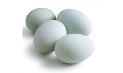 新鮮鴨蛋
