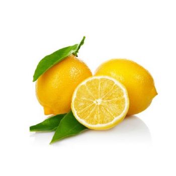 檸檬.jpg